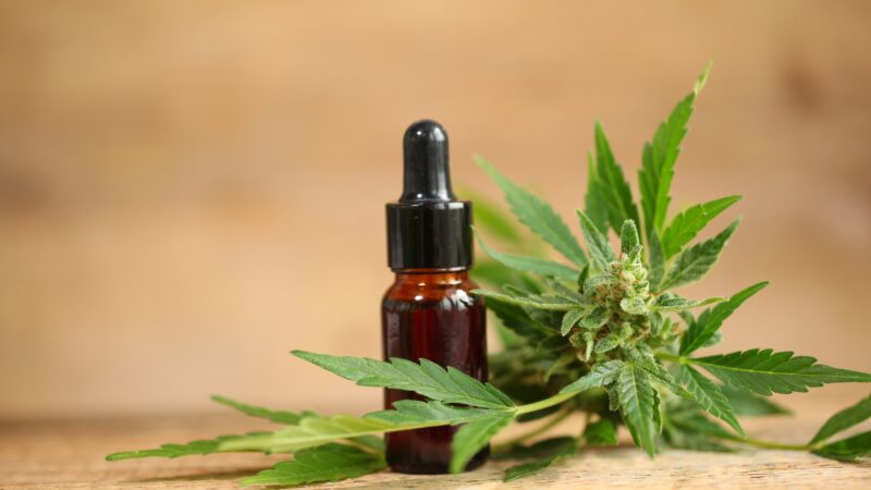 Hvordan Finne Den Beste CBD Olje For Din Livsstil