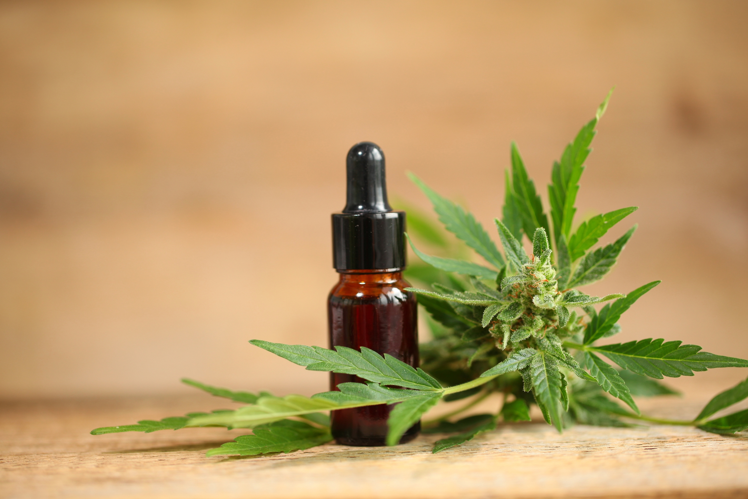 Hvordan Finne Den Beste CBD Olje For Din Livsstil